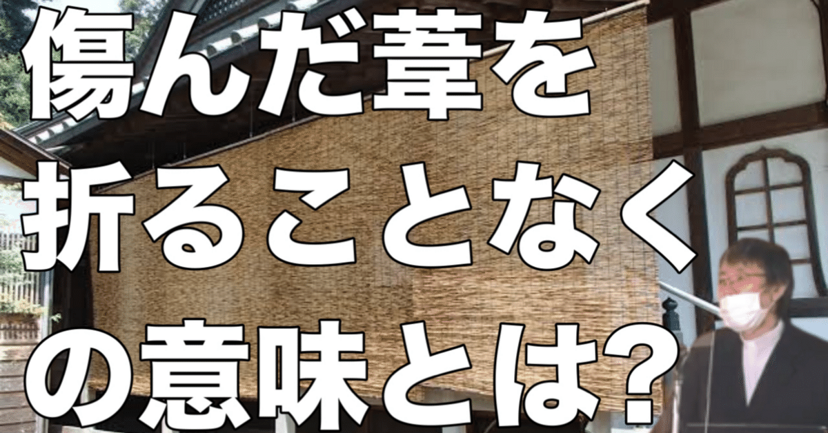 📗【文書版】⭐️礼拝メッセージ『傷んだ葦を折ることもなく