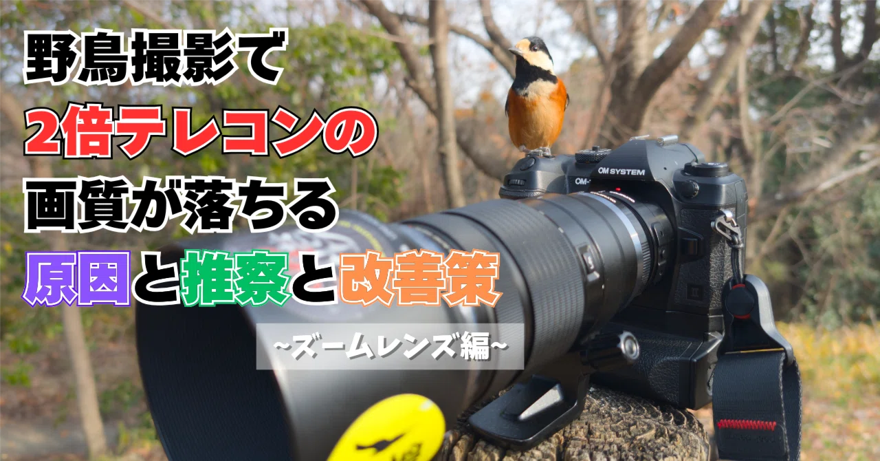 野鳥撮影で2倍テレコンの画質が落ちる原因と推察と改善策 ~ズーム