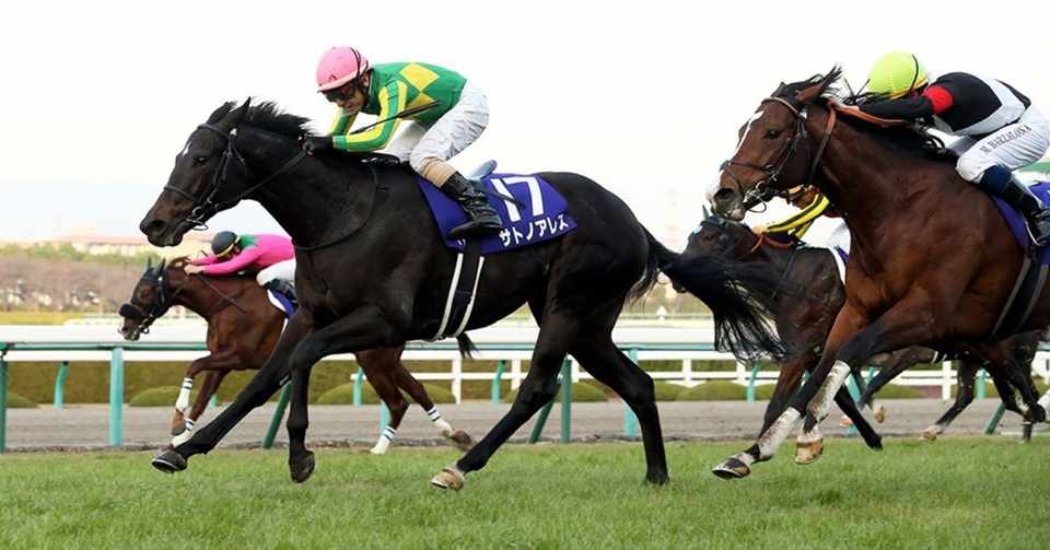 ロータス ランド 馬