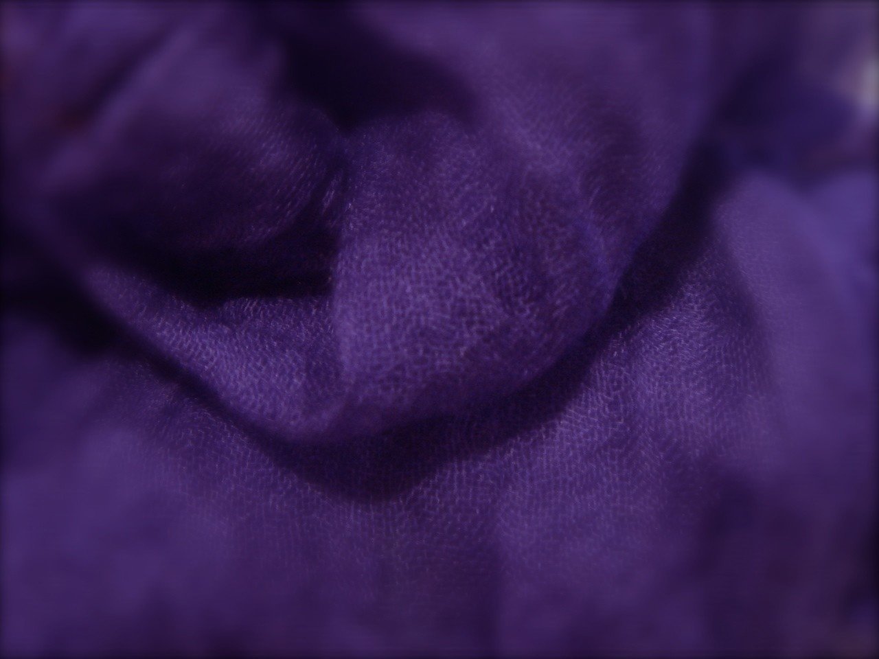 花掛紫色
