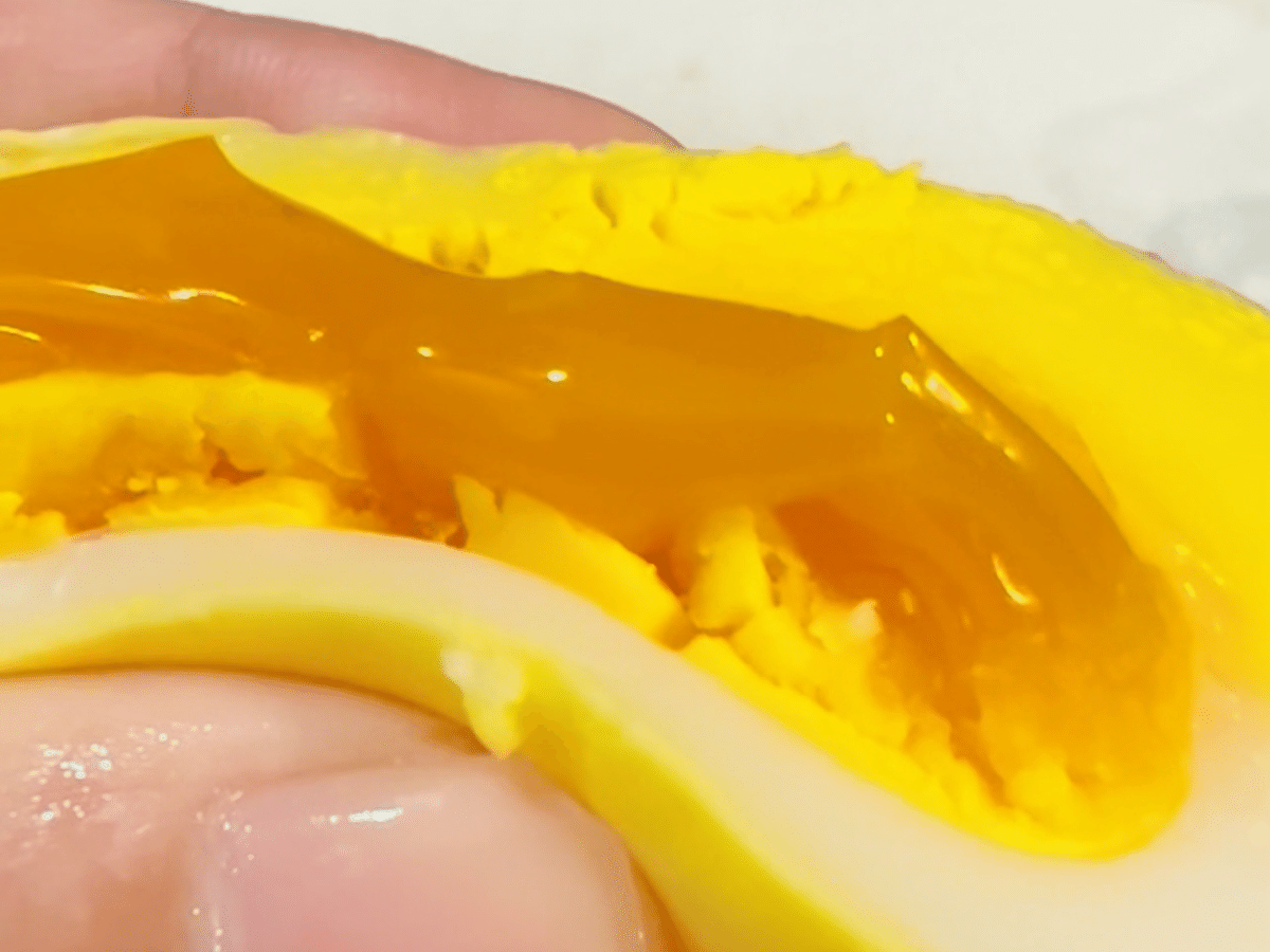 日常生活】ガチョウの卵を茹でてみた!|ベトライフキャンパス 日常生活】ガチョウの卵を茹でてみた!|ベトライフキャンパス