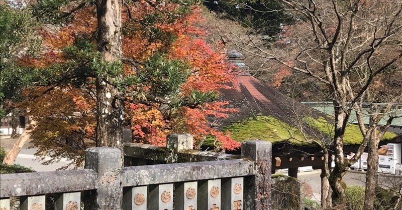 大雄山最乗寺の紅葉 ハッピーマスター Note