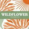 WILDFLOWER - Kamakura -