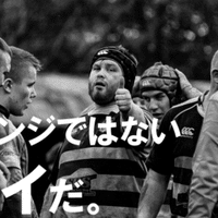 ファール フライ イン フィールド
