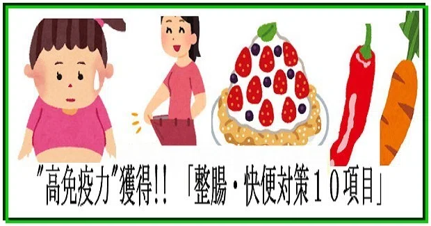 画像12