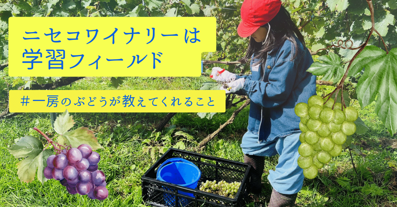 ぶどう用ワイヤー放出機 園芸用品 ぶどう用ワイヤー放出機