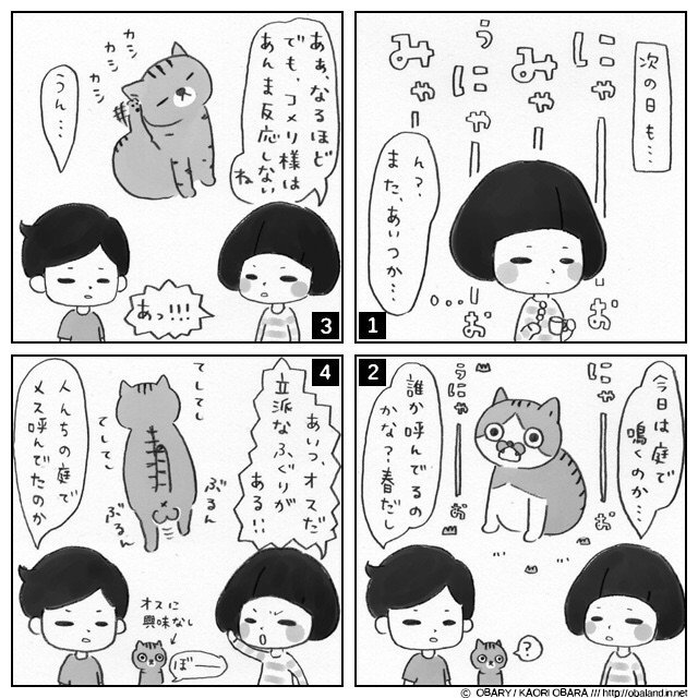 #ねこ #ネコ #猫 #イラスト #絵日記 #4コマ #ペット #ねこあるある #イラストエッセイ

LINEスタンプ / http://line.me/S/sticker/1006209 猫様で検索 ;)
