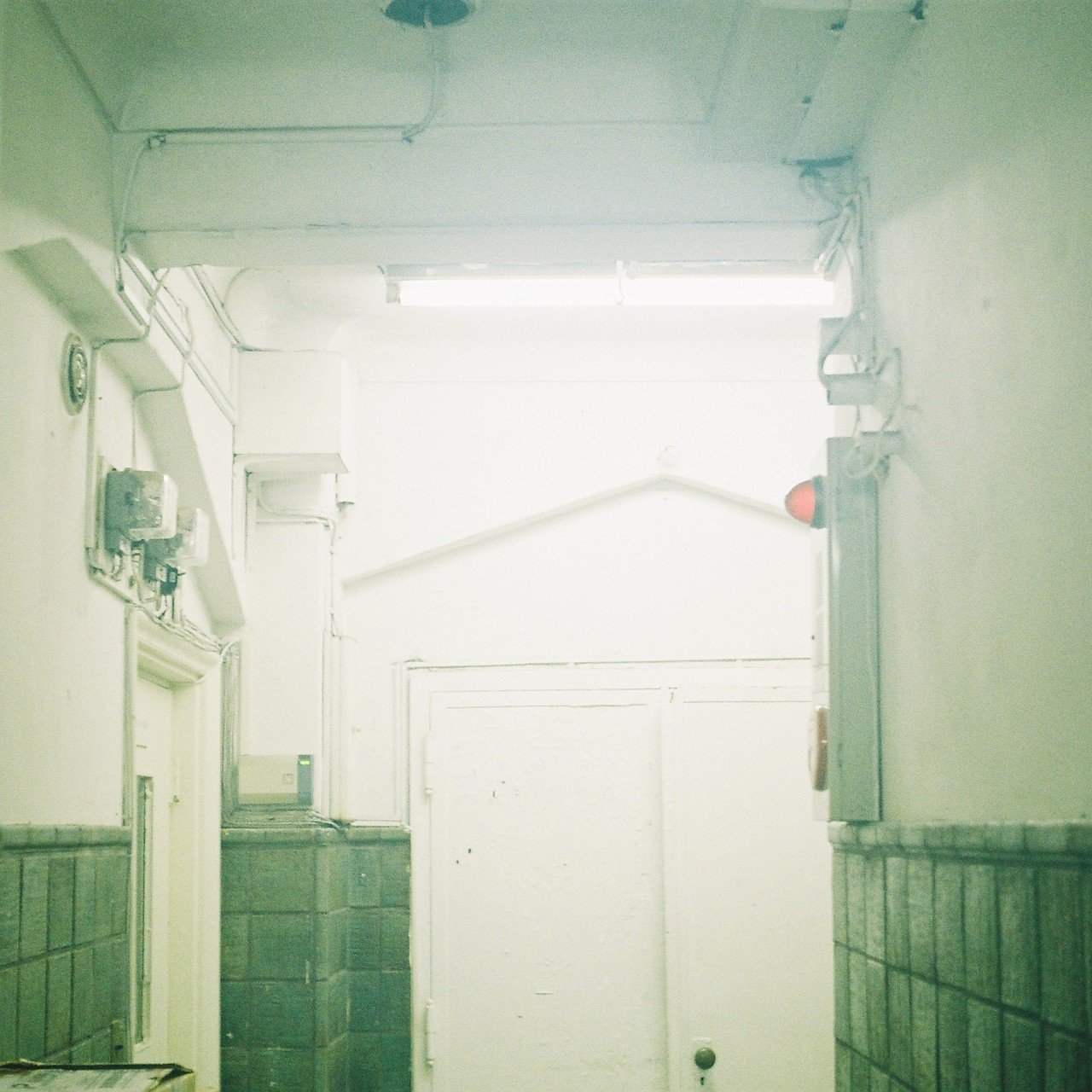 Zeiss Ikon Taxona - フィルムカメラレビュー｜Hisa Foto