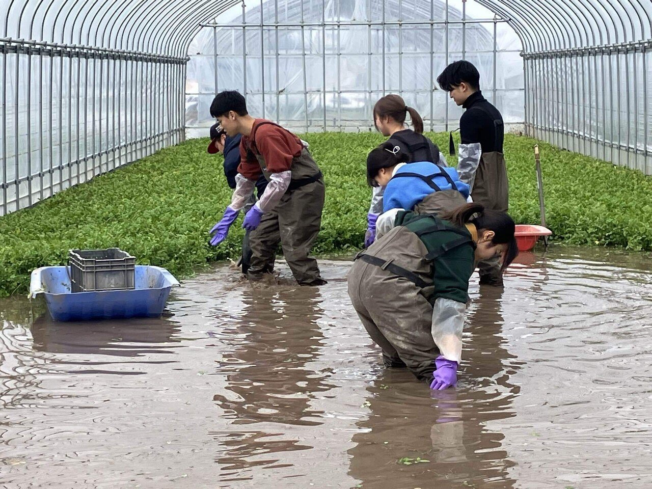 都市農村交流in秋田！｜畑山千弥