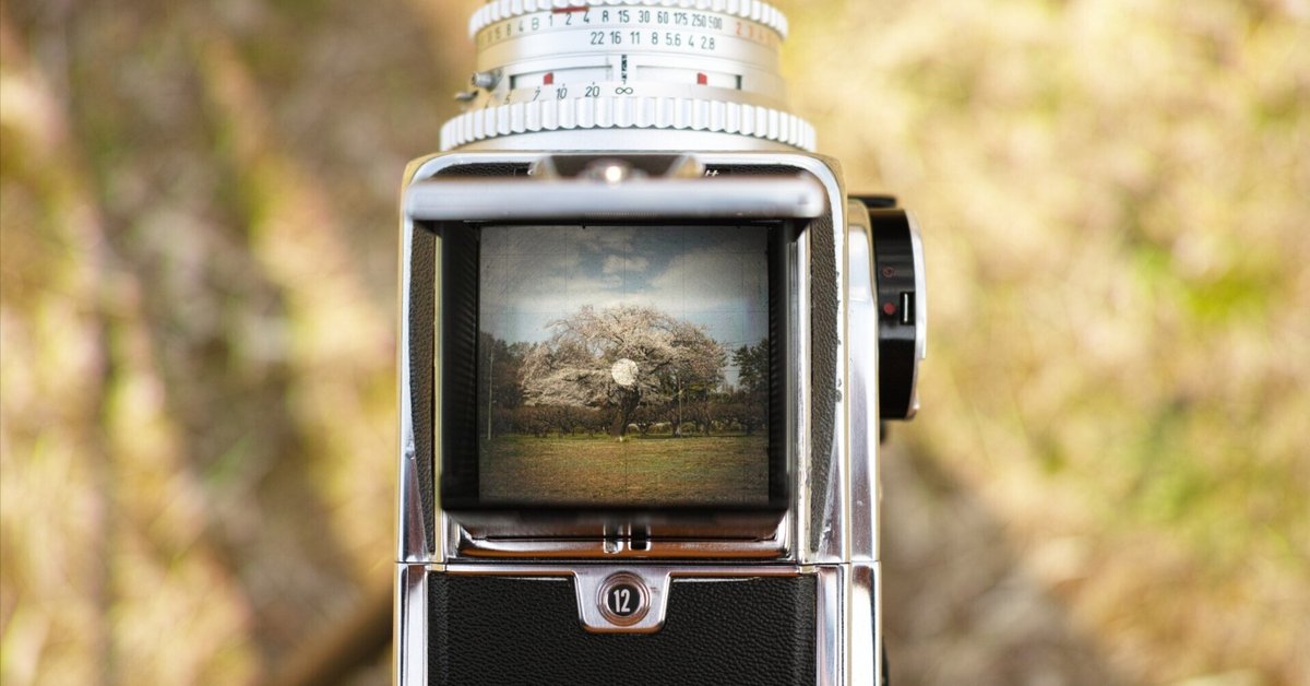 中判フィルムカメラをHasselblad 500c/mから | NocTone