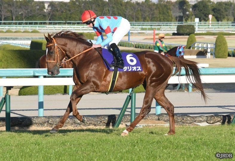 サリオス含む★第71回朝日杯フューチュリティステークス（GI）★全出走馬★現地単勝馬券 第71回朝日杯フューチュリティS(GI)の勝ち馬-サリオス(2017.1.23