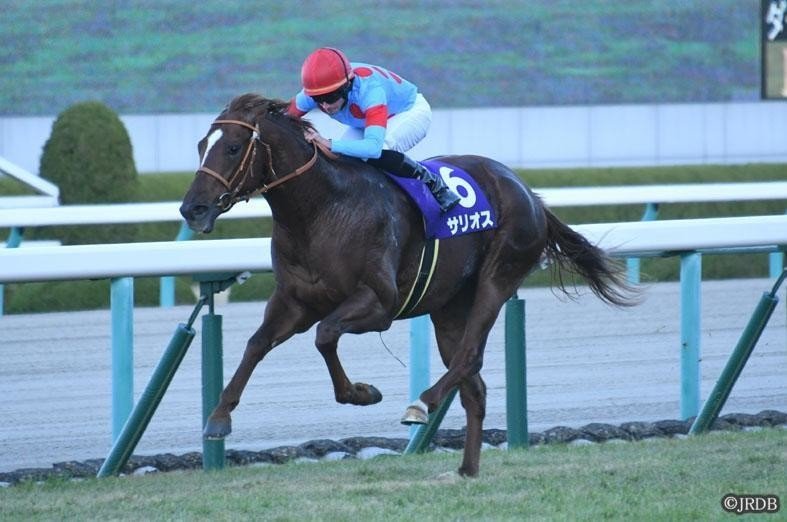 サリオス含む★第71回朝日杯フューチュリティステークス（GI）★全出走馬★現地単勝馬券 第71回朝日杯フューチュリティS(GI)の勝ち馬-サリオス(2017.1.23