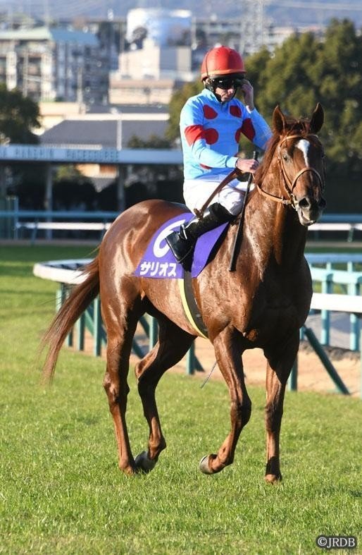 サリオス含む★第71回朝日杯フューチュリティステークス（GI）★全出走馬★現地単勝馬券 第71回朝日杯フューチュリティS(GI)の勝ち馬-サリオス(2017.1.23