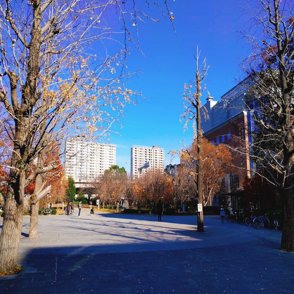 ポケgo思い出探訪 浜町 隅田川 清澄を久しぶりに歩いてみた Takanori Oshiba Note