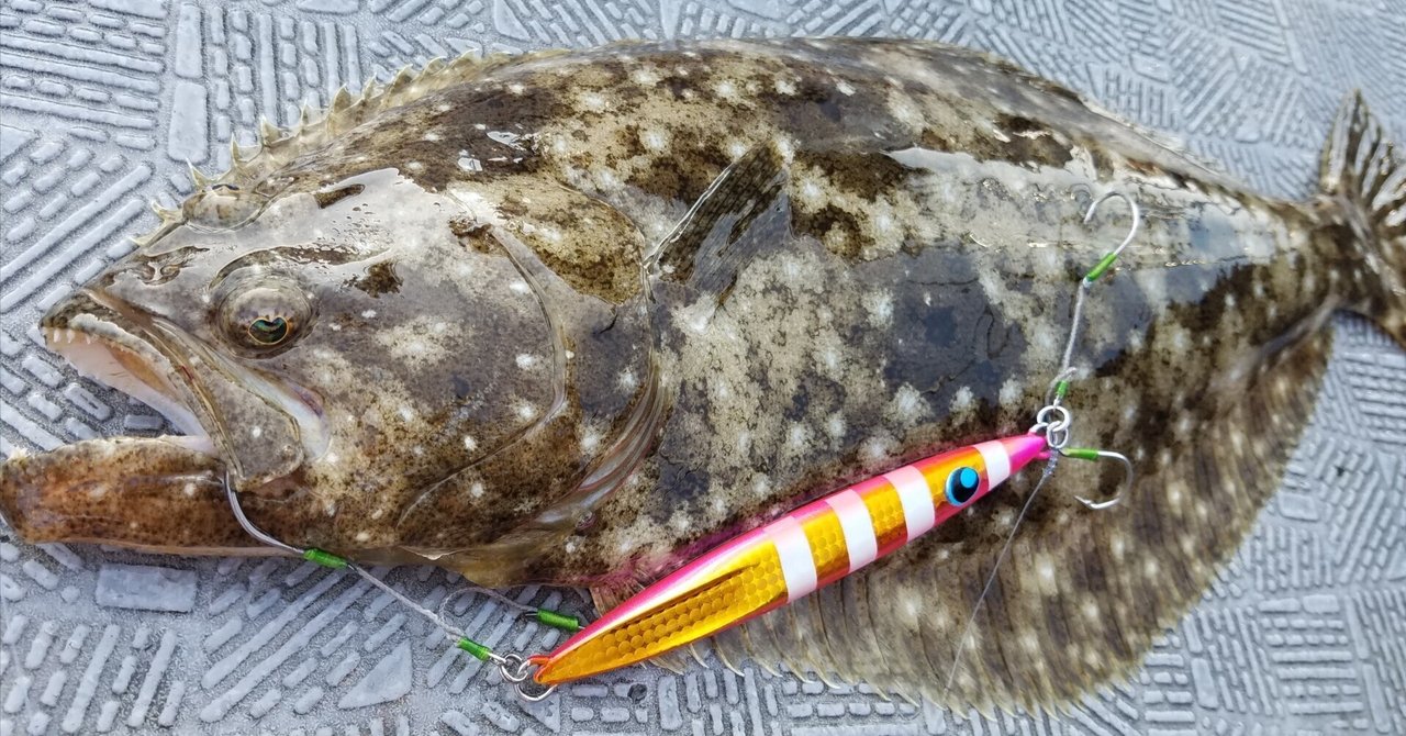 81 スロージギング用 個人的オススメジグ｜生き辛さを、釣りと思考の