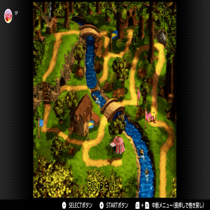 SFC スーパードンキーコング3｜murasaki