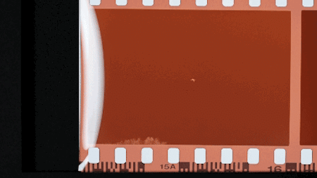 MARIXフィルムディプリケーターのレビュー｜大林京太郎