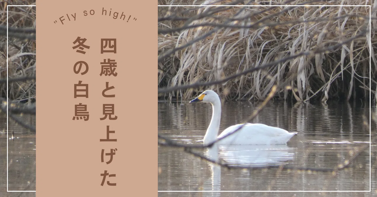 Fly so high!
