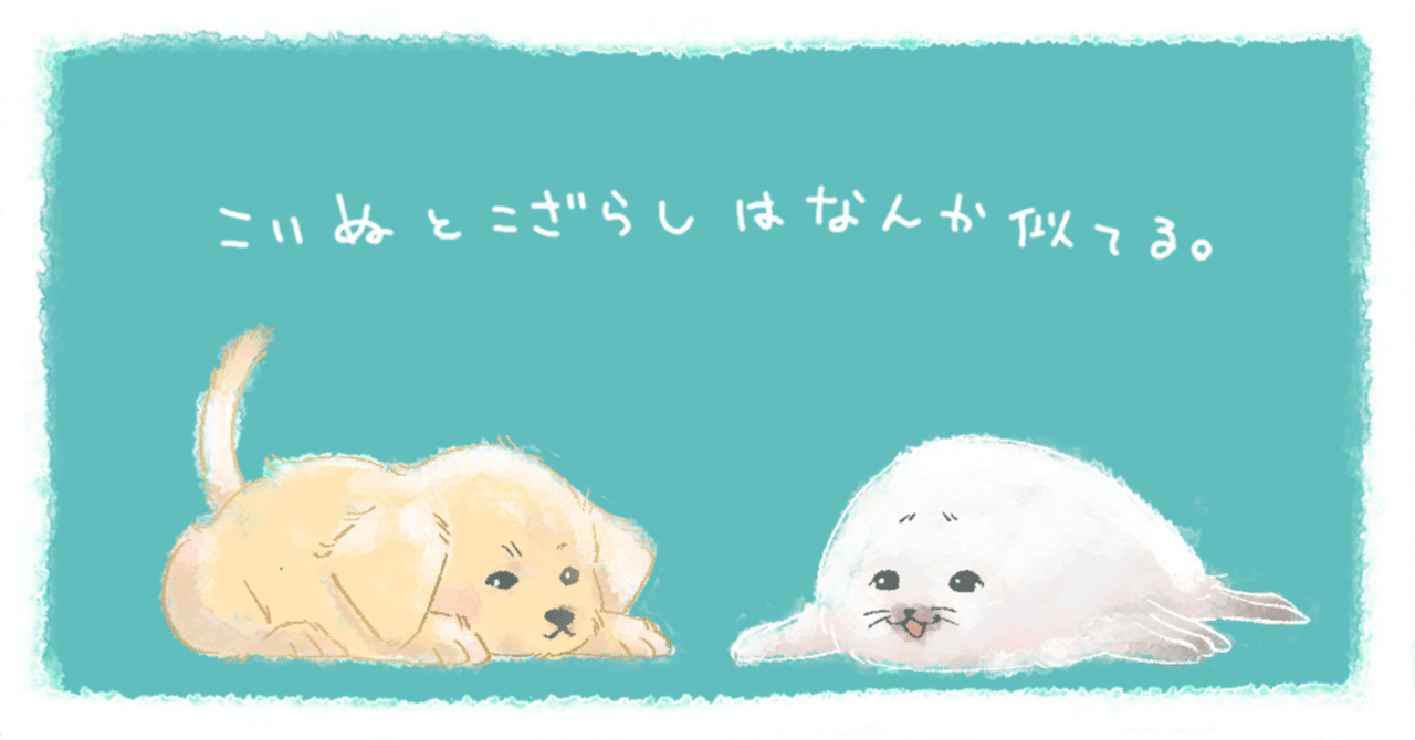 日本のアザラシ探訪記①しながわ水族館・オホーツクとっかりセンター