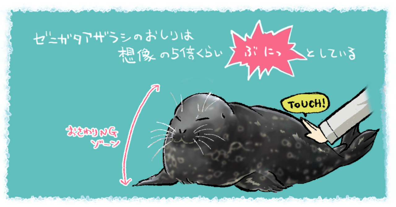 日本のアザラシ探訪記③恩賜上野動物園・八景島シーパラダイス｜ヒロサキ