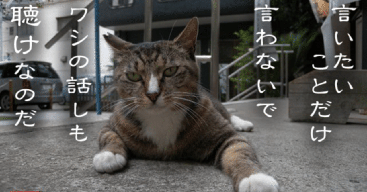 Amazon]ポスト確認した？｜なな⚡配達員