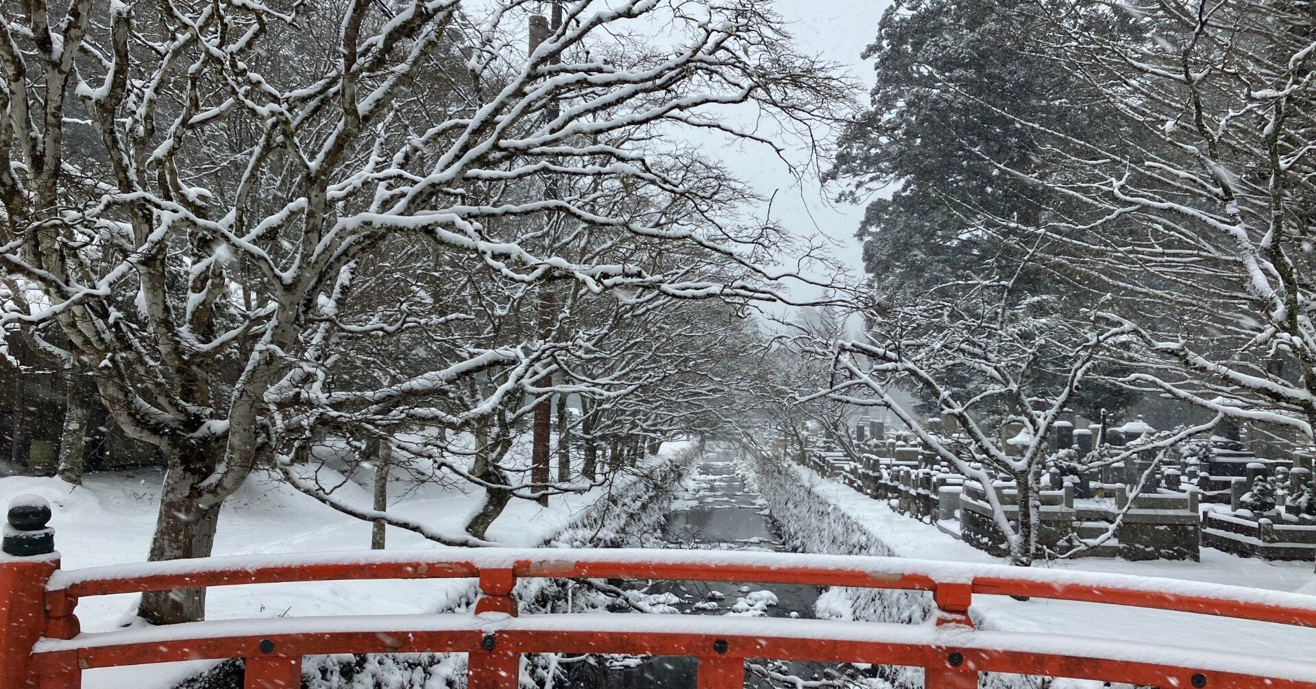 雪が積もり寒い朝となりました。｜高野山法徳堂/空海と高野山の魅力を
