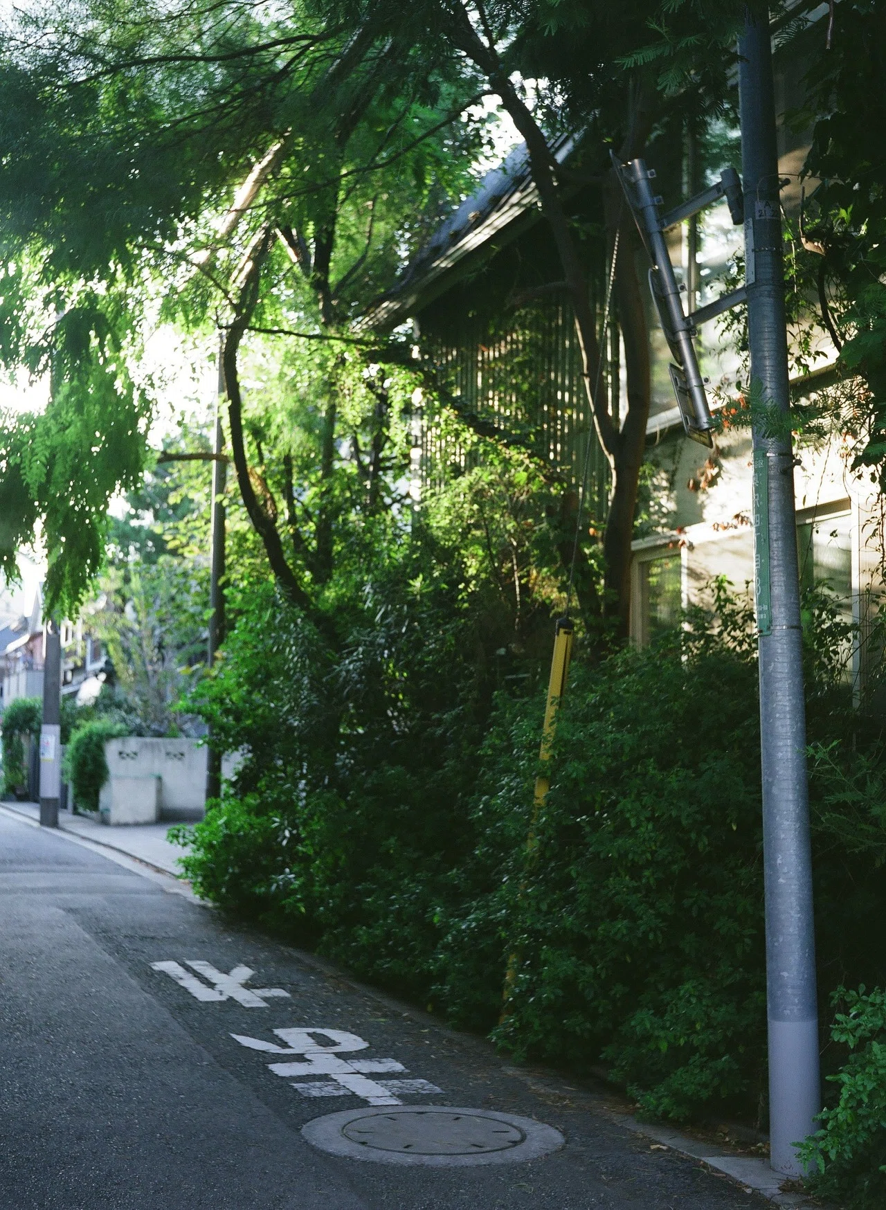 Konica Pearl III - フィルムカメラレビュー｜Hisa Foto