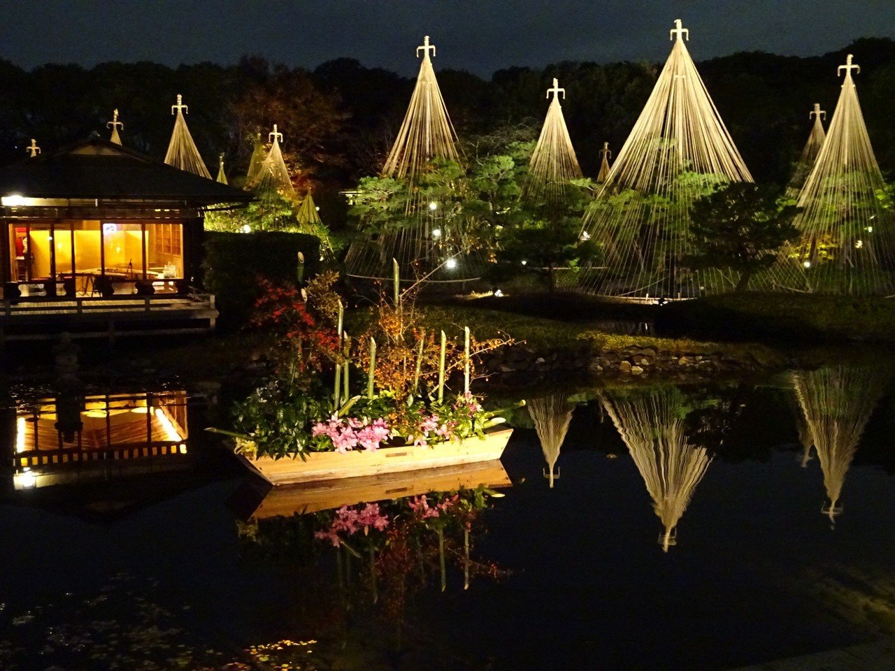 熱田区 白鳥庭園の夜間紅葉ライトアップ 19年 おいなごちゃん おいでよ名古屋 Note