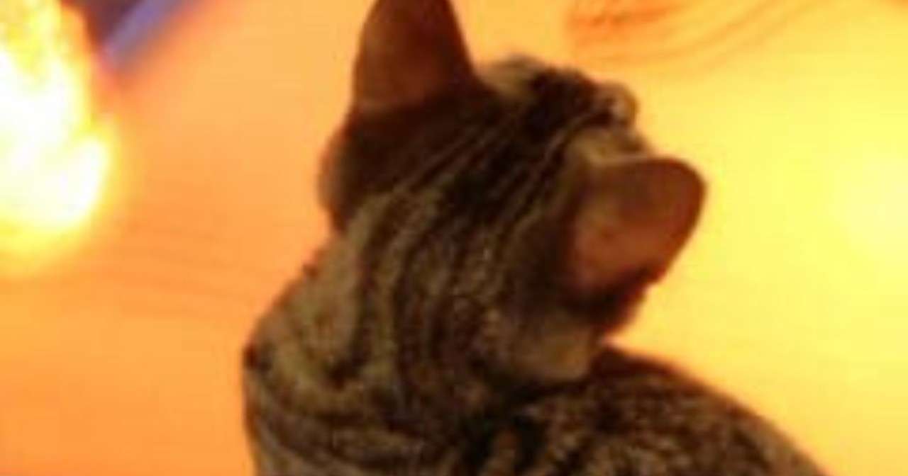 沈黙 を実践して見た えあ Note