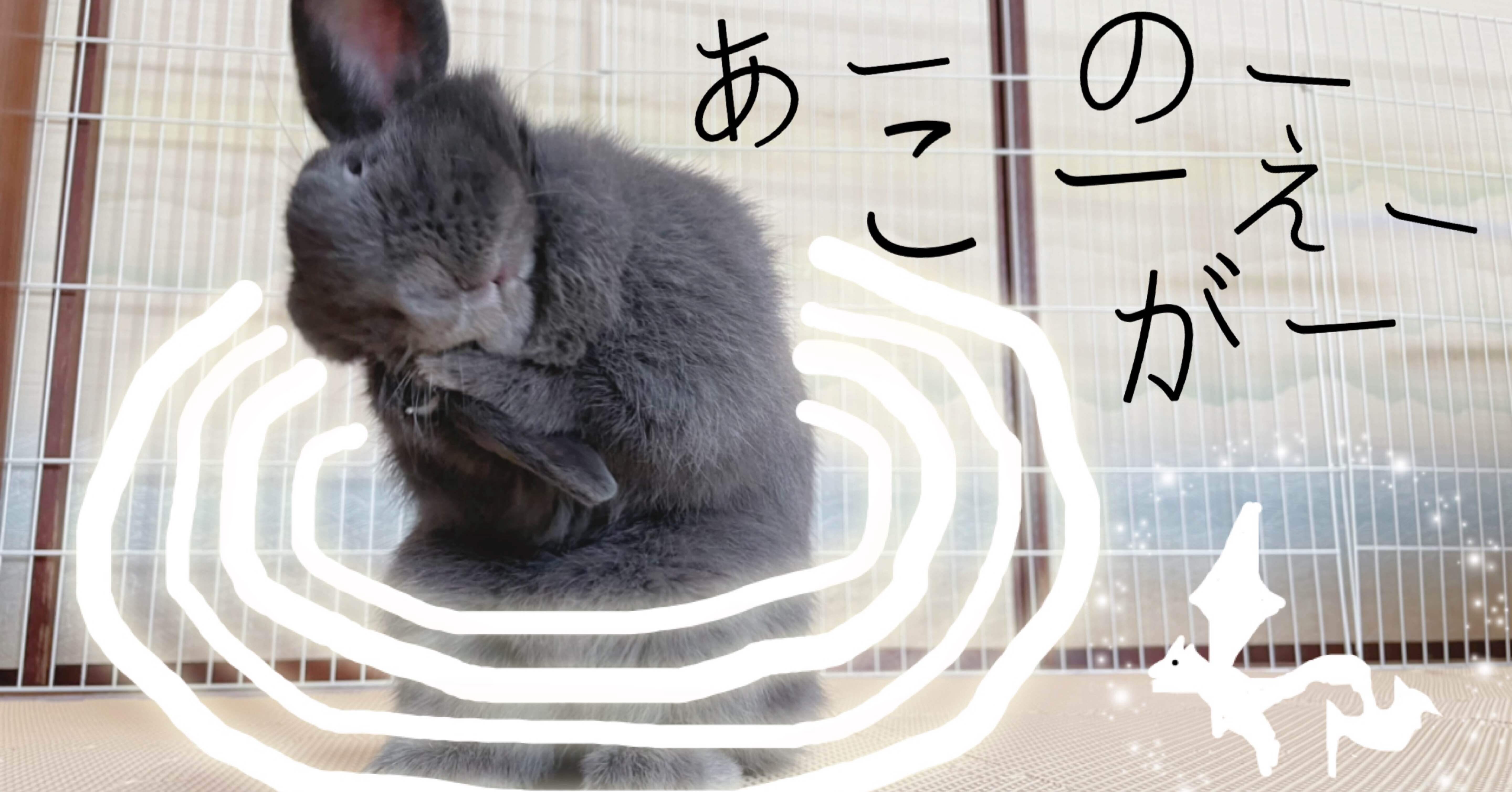 推しのゲーム実況で『ドラッグ オン ドラグーン3』を知る。｜げーらびーず