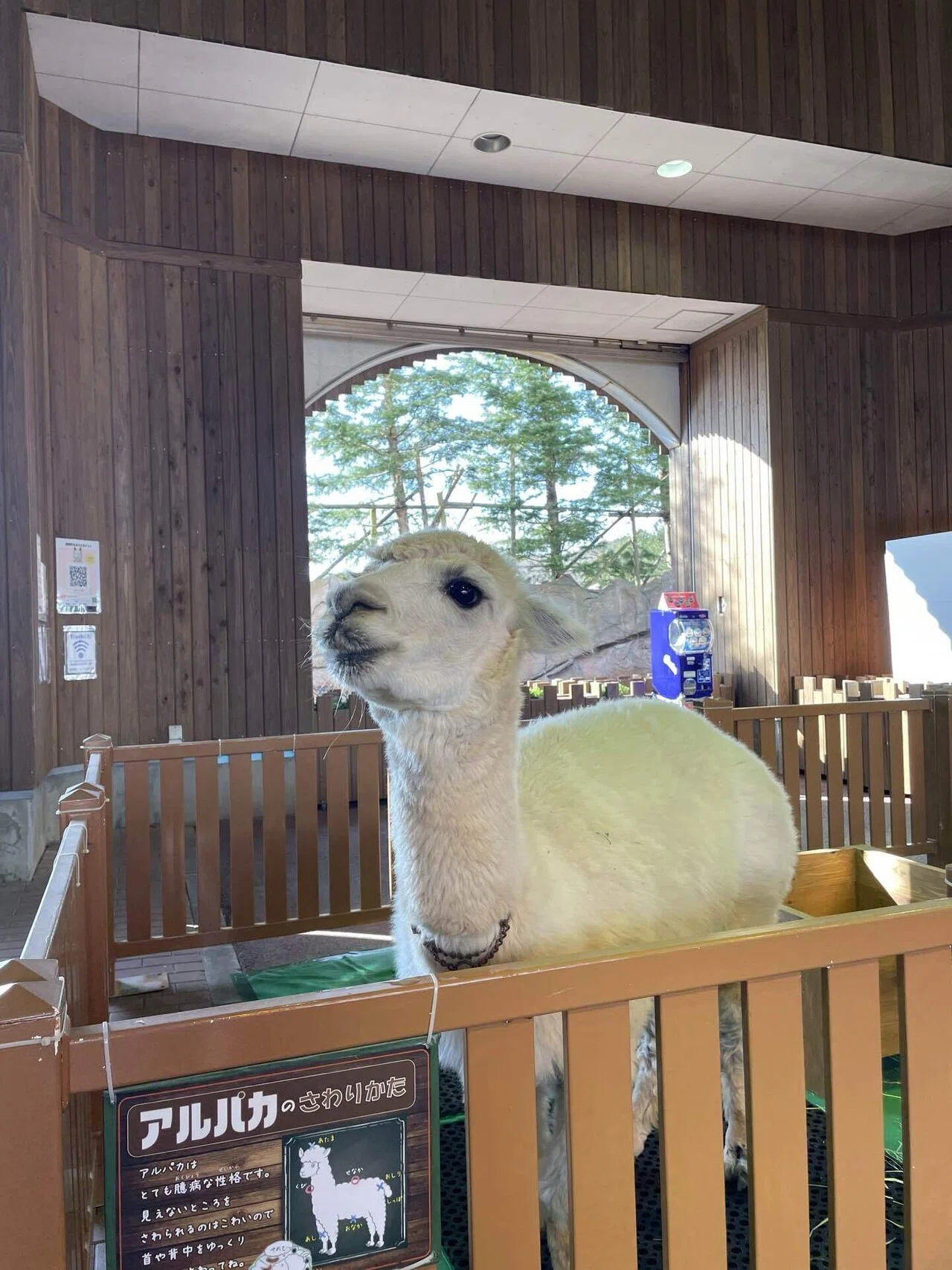 冬のファーム動物｜那須どうぶつ王国公式note