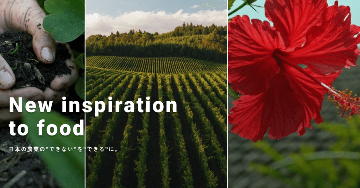 小野寺 宮春 | Aglin(アグリン)代表｜note