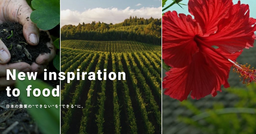 Miyaharu Onodera | CEO of Aglin | note