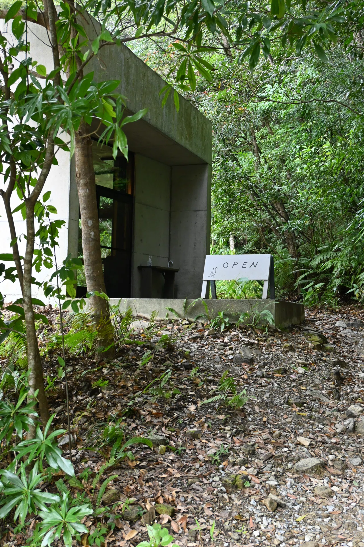 沖縄】 やんばるの森と島野菜に癒される旅｜ nana