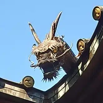 りゅうぼく