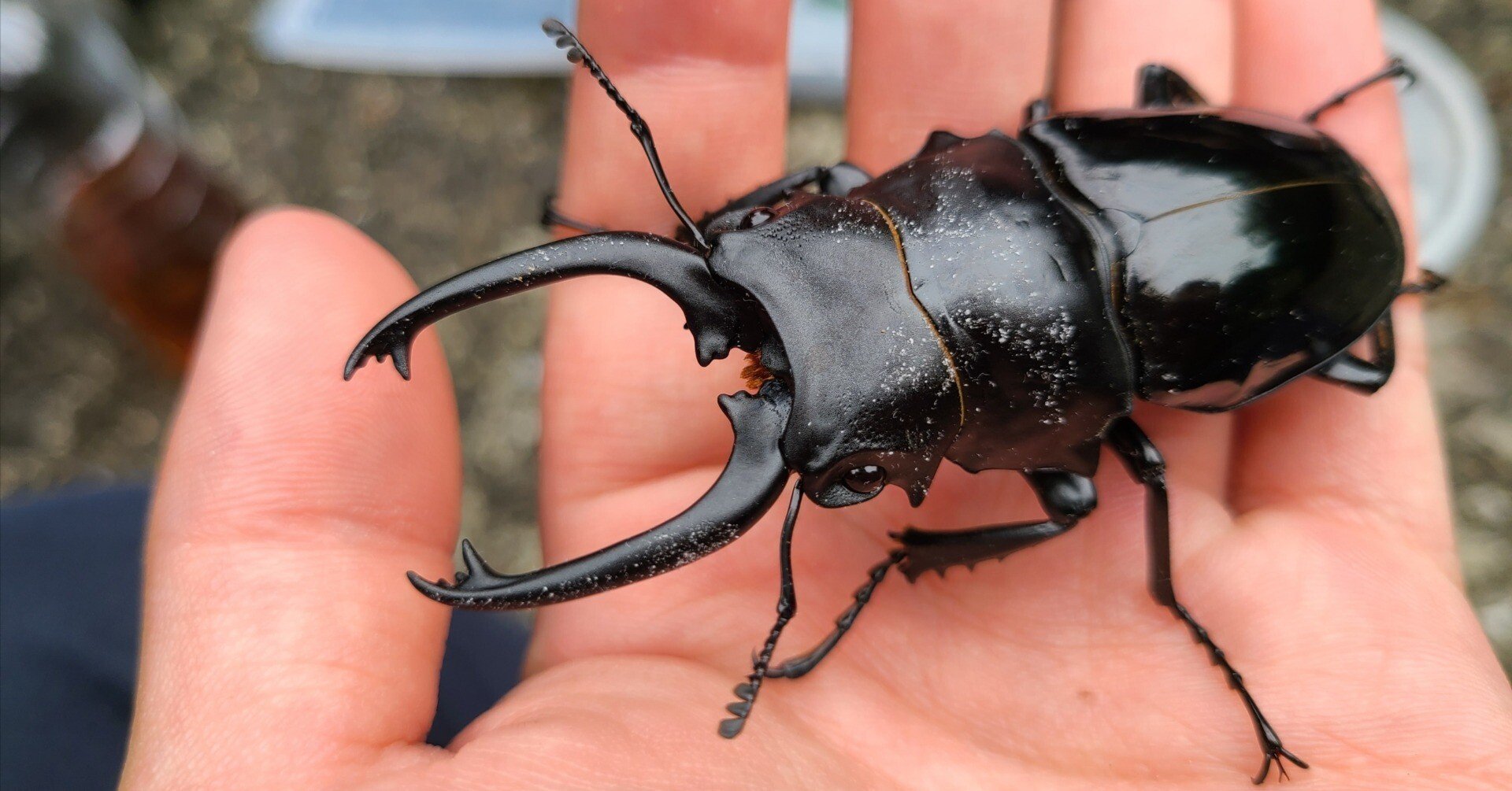 e78565a47b689666e977d847779b5b