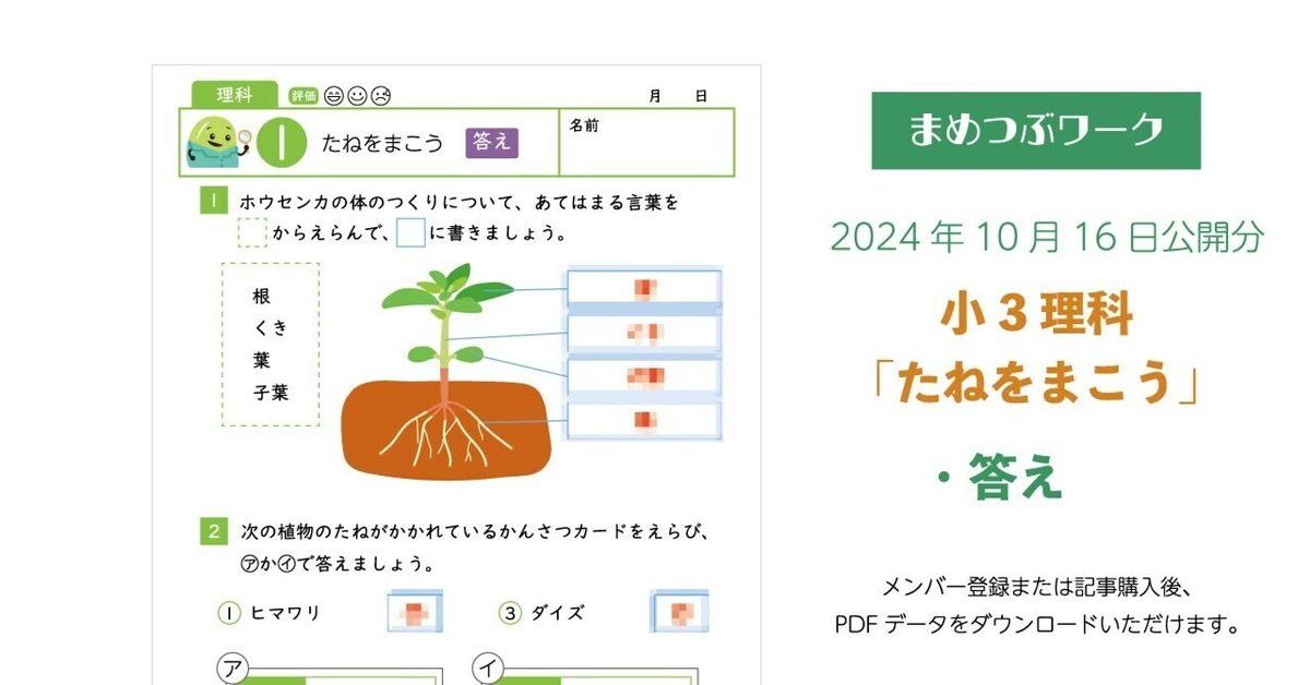 【おまけ付】 答え「小3・理科│たねをまこう」2024.10.16公開(全2枚)｜まめ 語学・辞書・学習参考書