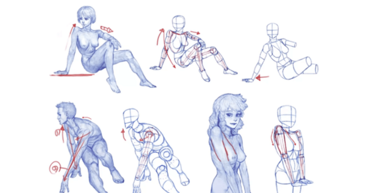 キム・ラッキの人体ドローイング」人体解剖の本を紹介。｜おこめ～毎週