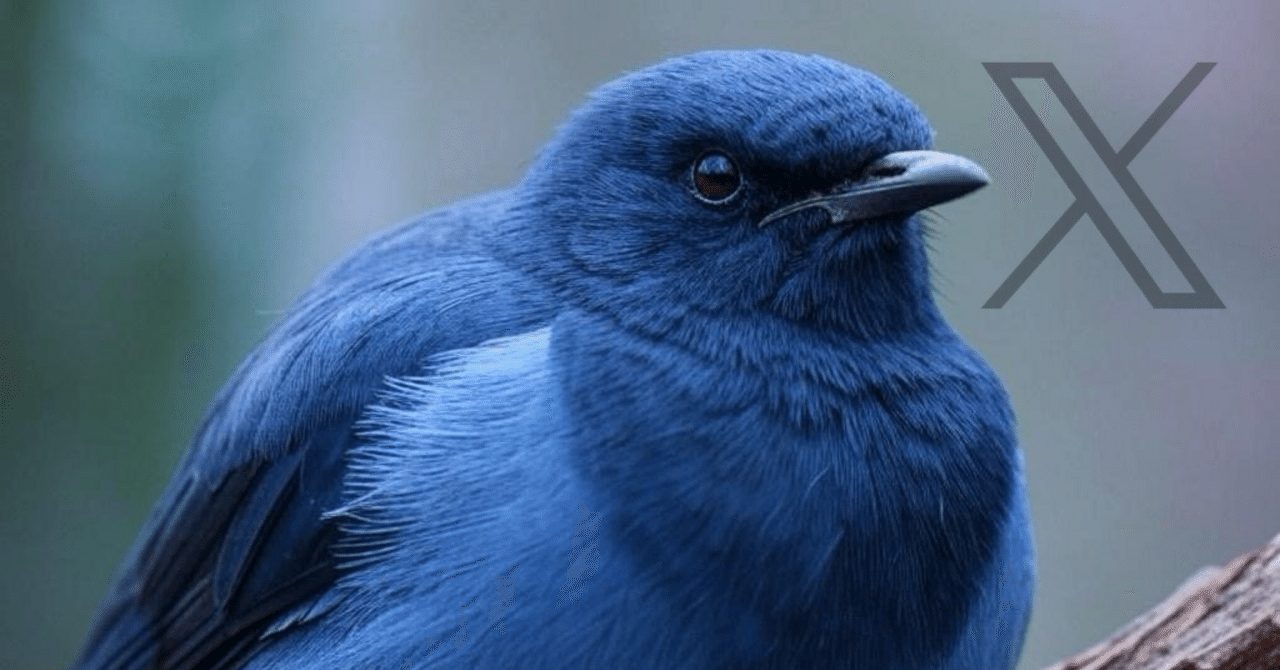 X（旧Twitter）で垢ブロできない広告をブロックする方法（iPhone）｜やきそば