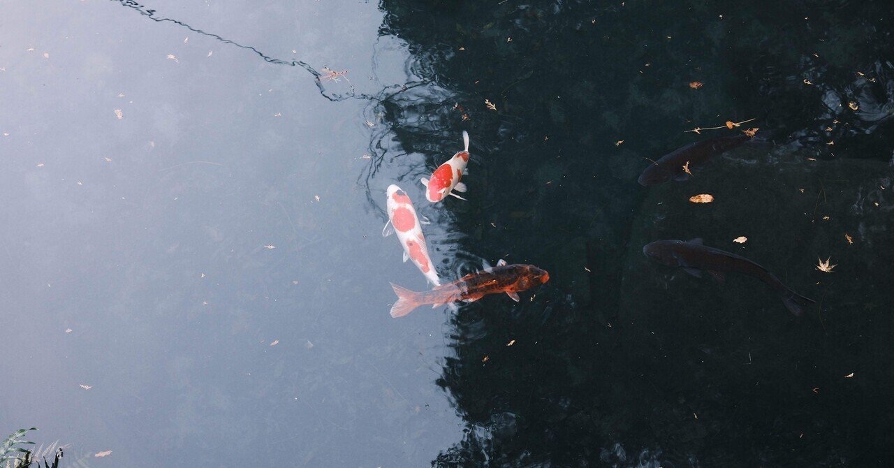 gnome スカルプトナー 3本セット 男性ホルモンを抑制して育毛するプロフェッショナル育毛剤の