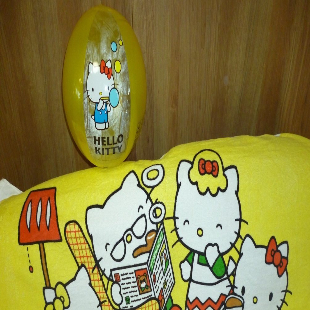 オークションの中の空気ビニール製品｜ヒロキ