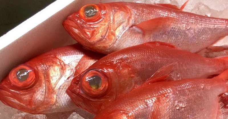 冬の美味しいお魚は今が買い時 と言うお話 古谷 真知子 Note 冬の美味しいお魚は今が買い時 と言うお話 古谷 真知子 Note
