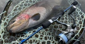 管釣り備忘録 ヤマガブランクス ブルーカレント62 TZ/NANO JH-Special 管釣り備忘録 ヤマガブランクス ブルーカレント62 TZ/NANO JH-Special