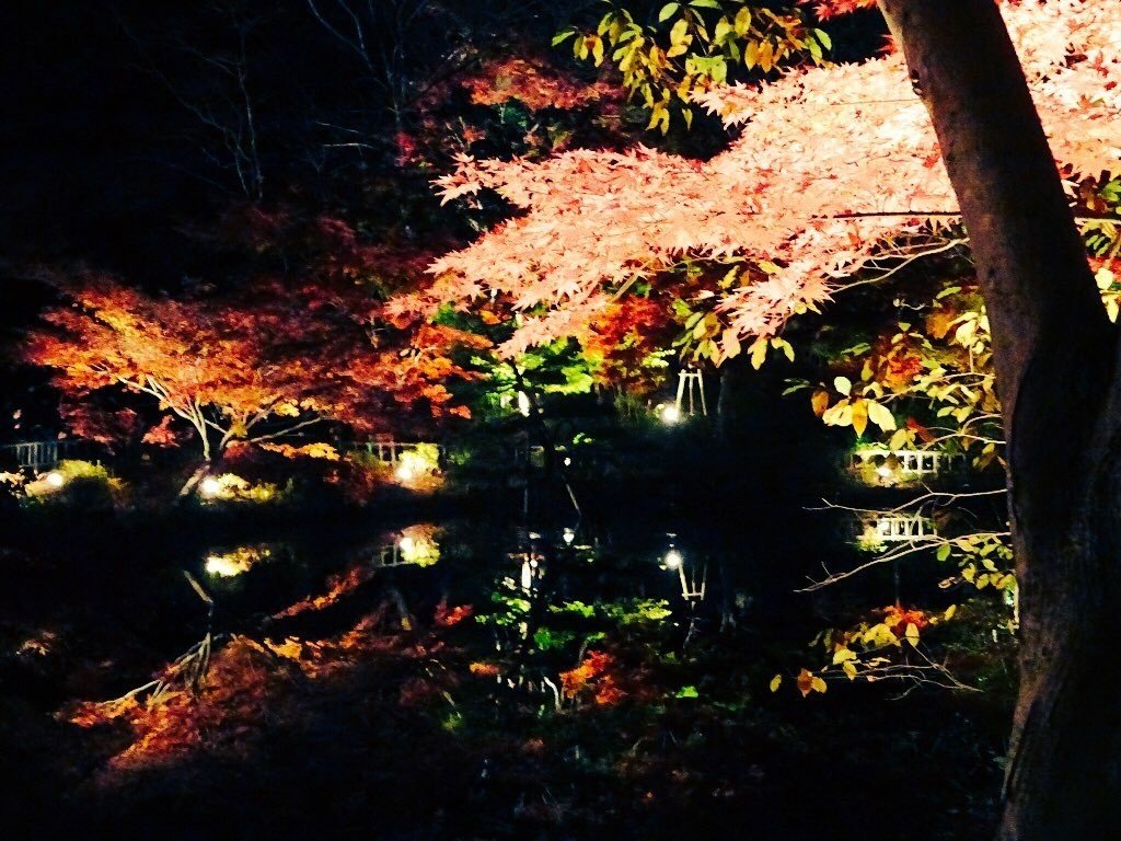 東山動植物園の紅葉 おいなごちゃん おいでよ名古屋 Note 東山動植物園の紅葉 おいなごちゃん おいでよ名古屋 Note