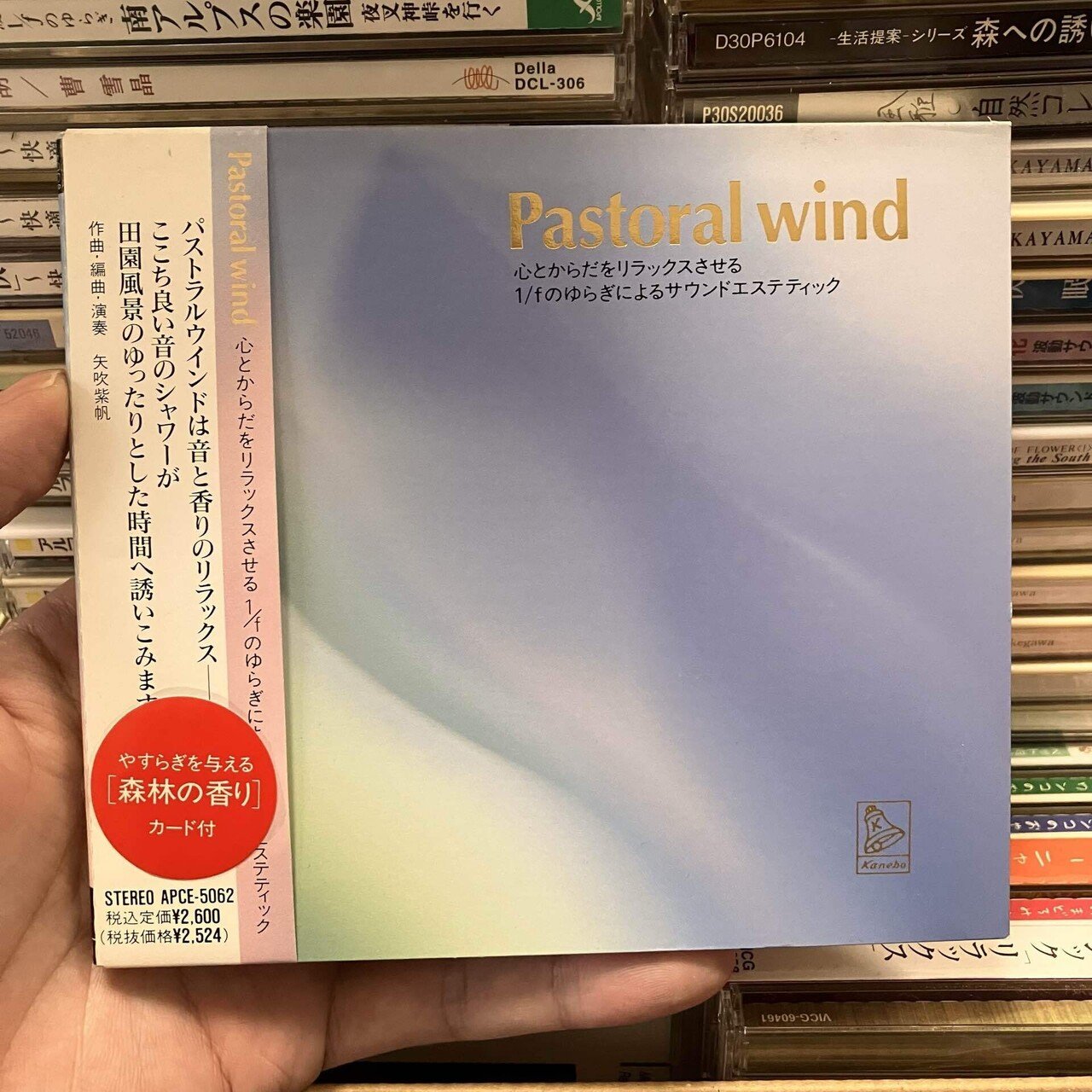 ヒーリング音楽の探求】「矢吹紫帆」編｜tanqueray