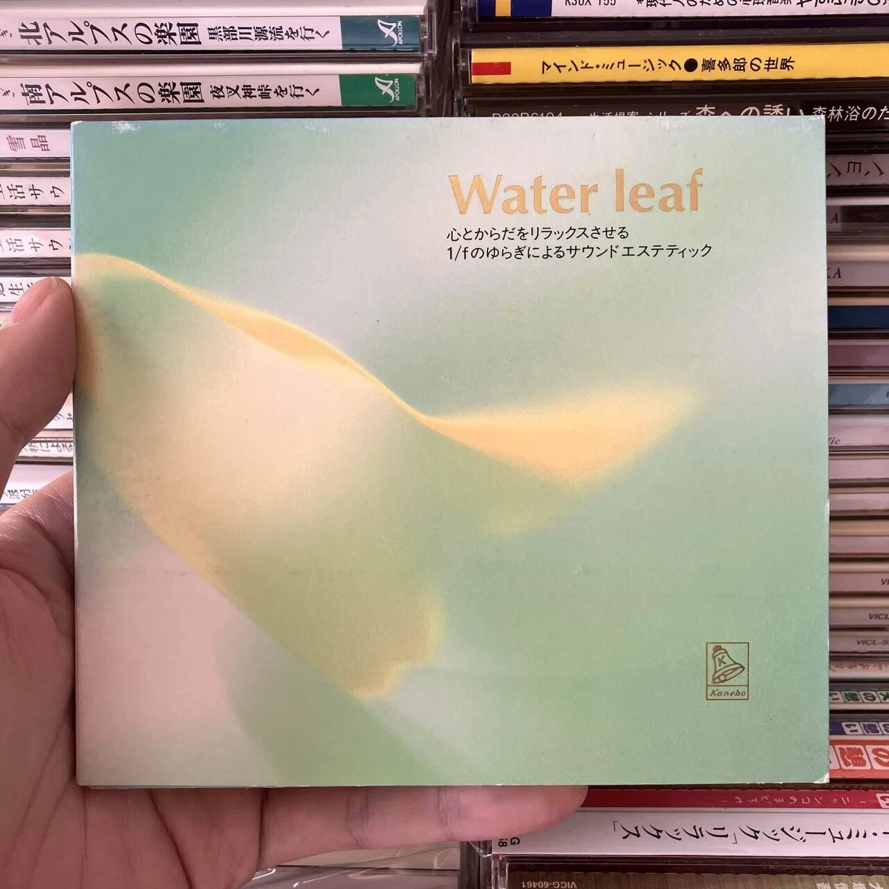 ヒーリング音楽の探求】「矢吹紫帆」編｜tanqueray