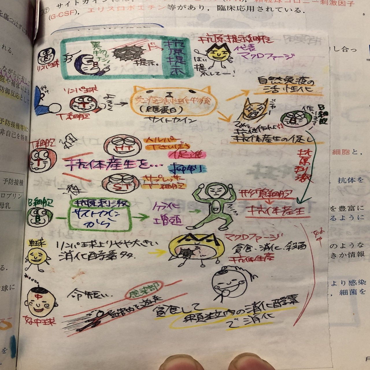 国試と私、XX年振りのレビューブックその3｜yukika