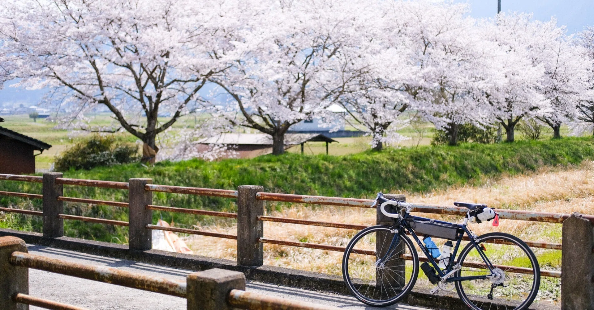 野の道 春の国道429号線サイクリング』 福知山～大原｜103