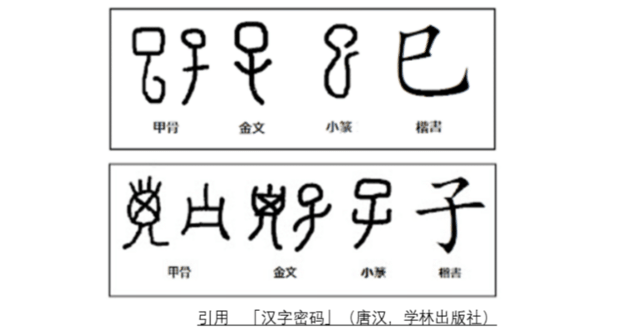 rectangle_large_type_2_3cc536d