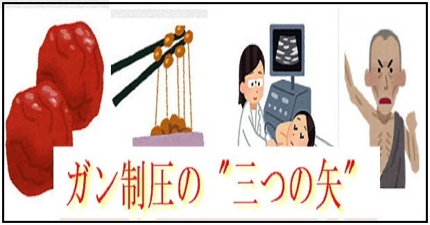 画像14